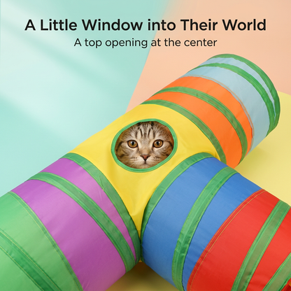 Cat peeking through circular top opening in yellow central panel