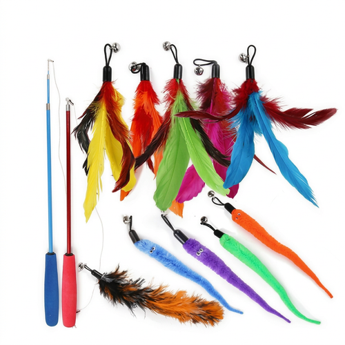 Twelve-piece cat teaser wand kit with two rods and ten colorful attachments on white