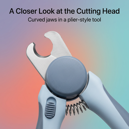 Close-up of curved metal cutting jaws and round blue pivot