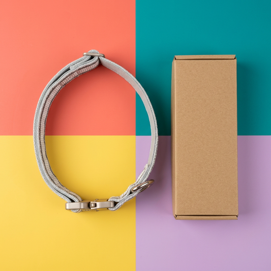 Overhead gray reflective dog collar with plain kraft box on colorful background