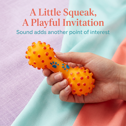 Hand holding orange squeaky toy for a gentle introduction