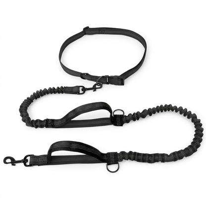 Black dog leash set with belt dual handles and gathered sections on white background
